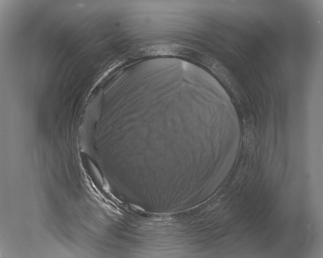 X0000080690386200701051106