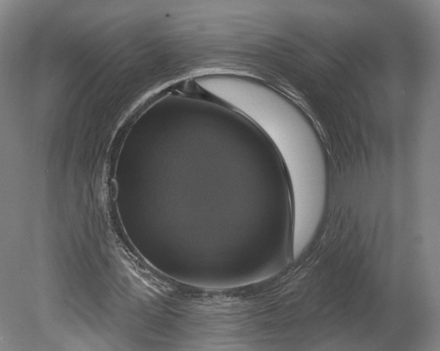 X0000080690387200701051106