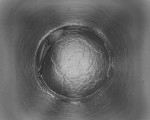 X0000080690388200701051105