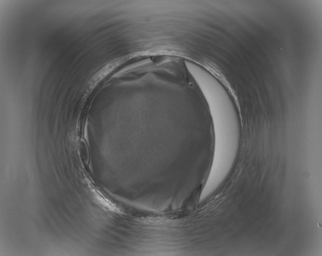 X0000080690389200701051105