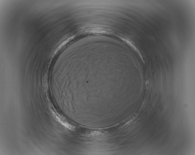 X0000080690390200701051105