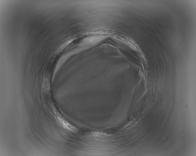 X0000080690393200701051105