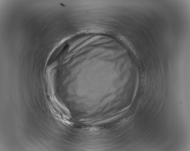 X0000080690395200701051105