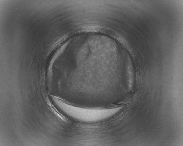 X0000080690397200701051105