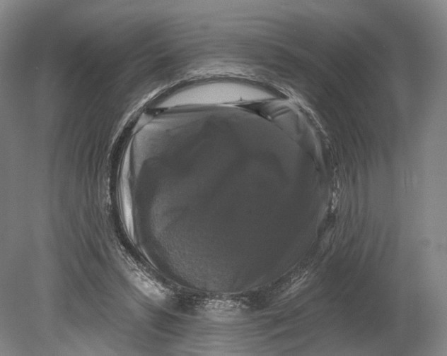 X0000080690399200701051105