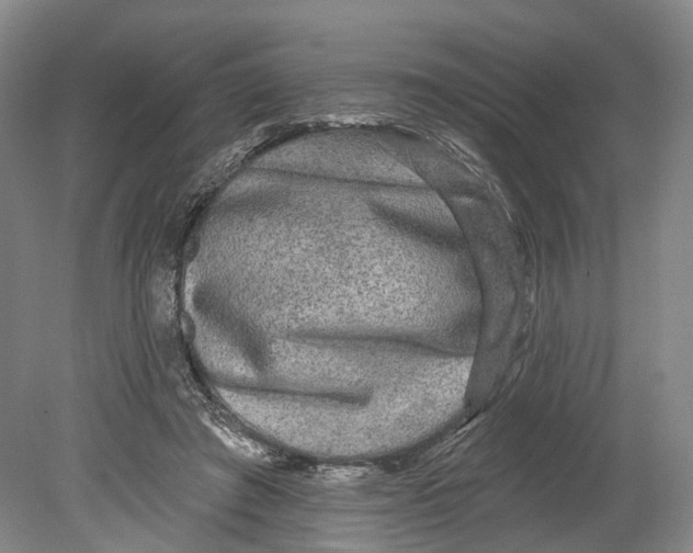 X0000080690401200701051105