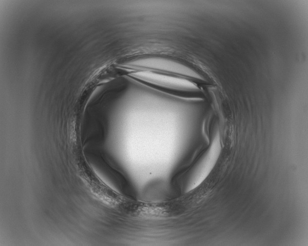 X0000080690403200701051105