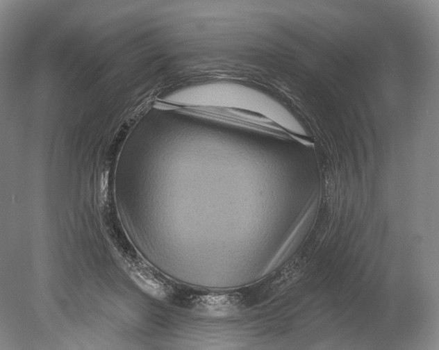 X0000080690406200701051105