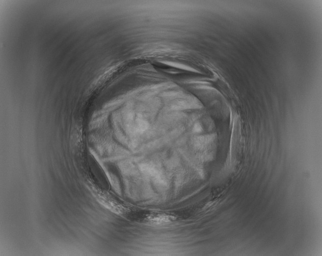 X0000080690407200701051105