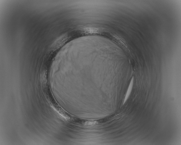 X0000080690410200701051105