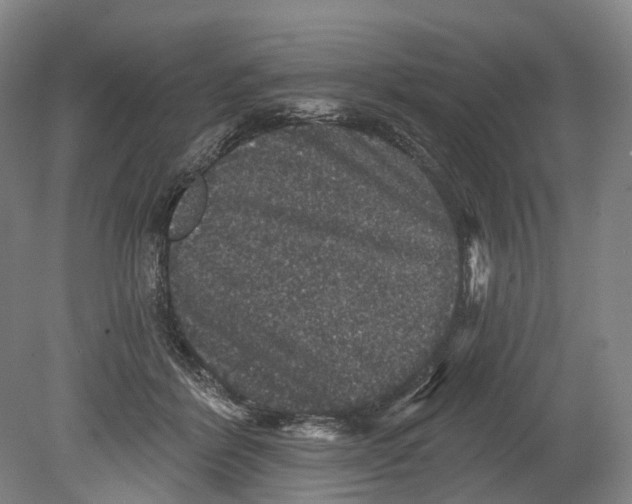 X0000080690412200701051105
