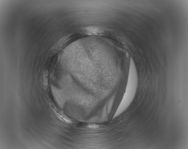 X0000080690413200701051105
