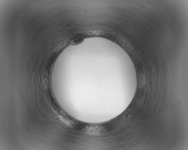 X0000080690414200701051105