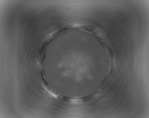 X0000080690415200701051105