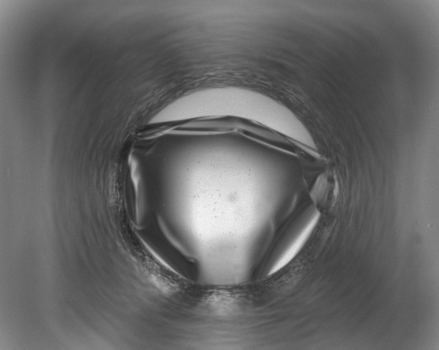 X0000080690416200701051105