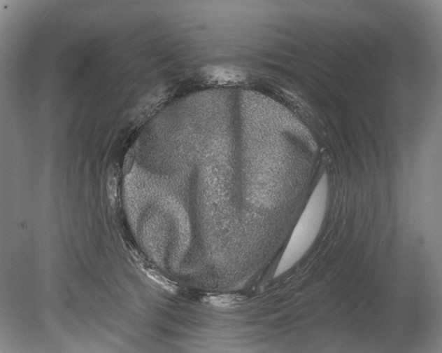 X0000080690417200701051105