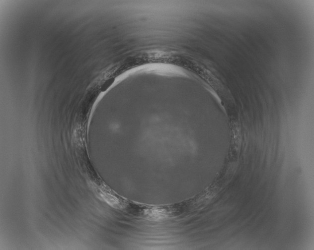 X0000080690419200701051105