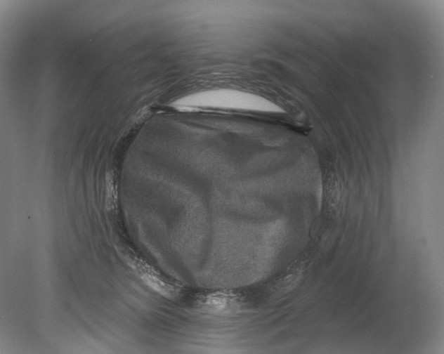 X0000080690420200701051105