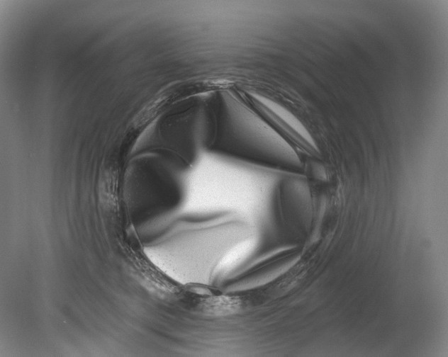 X0000080690421200701051105