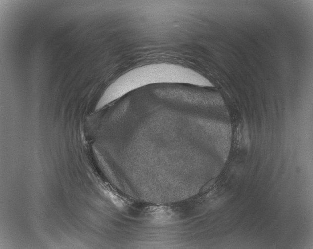 X0000080690424200701051105