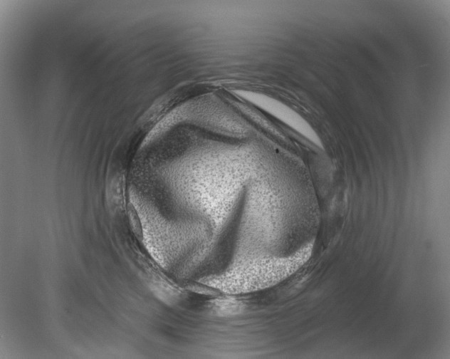 X0000080690425200701051105