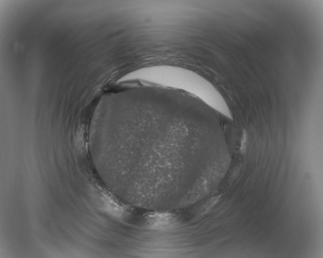 X0000080690428200701051105