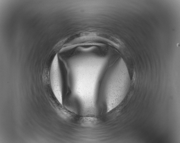 X0000080690429200701051105