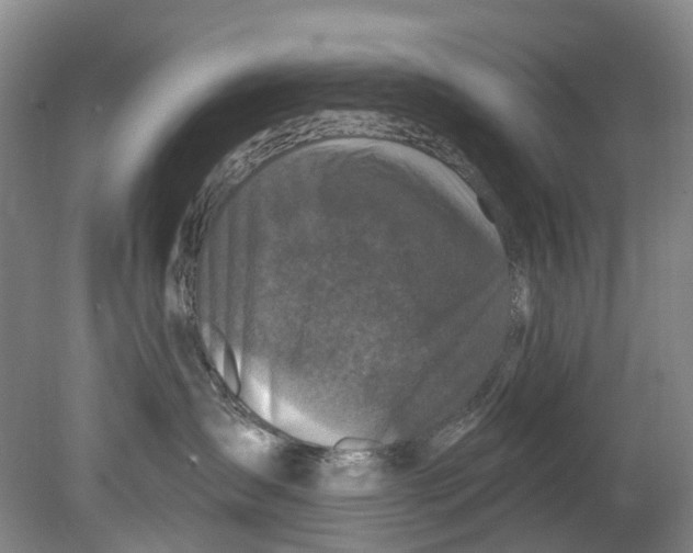 X0000080690431200701051105