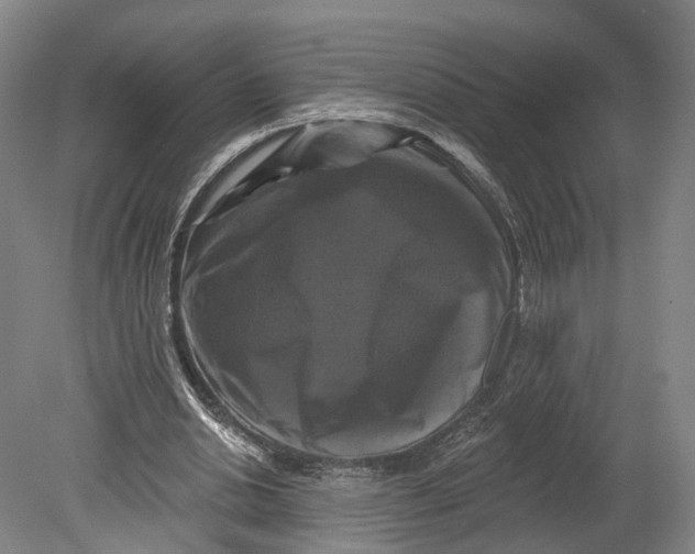 X0000080690438200701051104