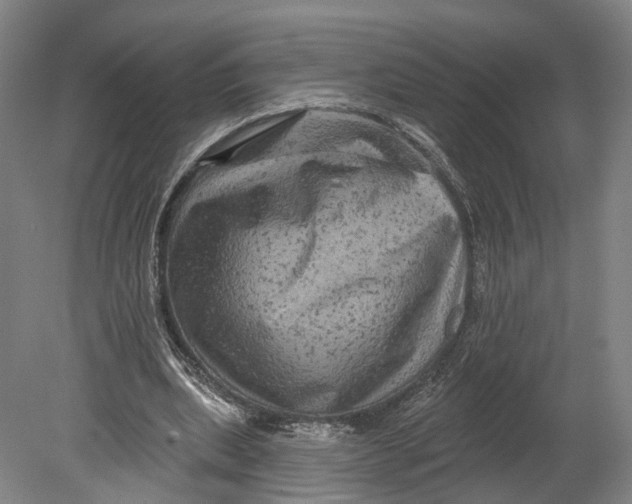 X0000080690439200701051104