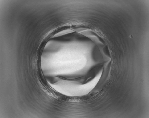 X0000080690440200701051104