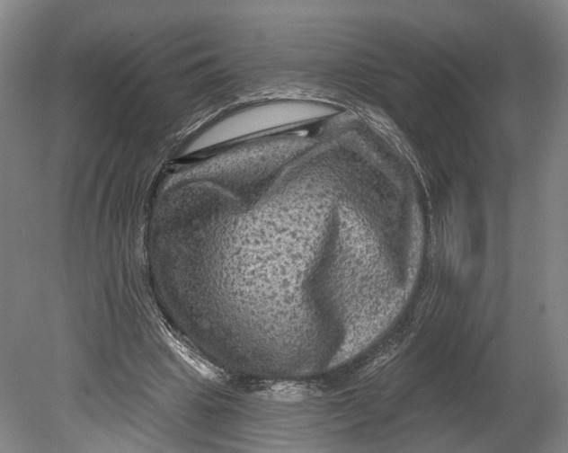 X0000080690441200701051104