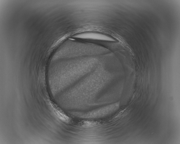 X0000080690442200701051104