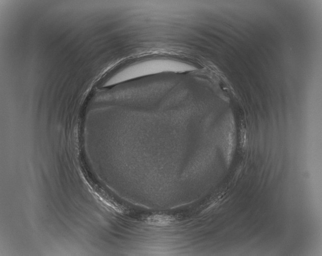 X0000080690444200701051104