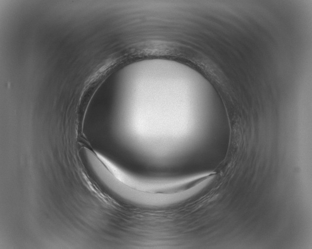 X0000080690446200701051104