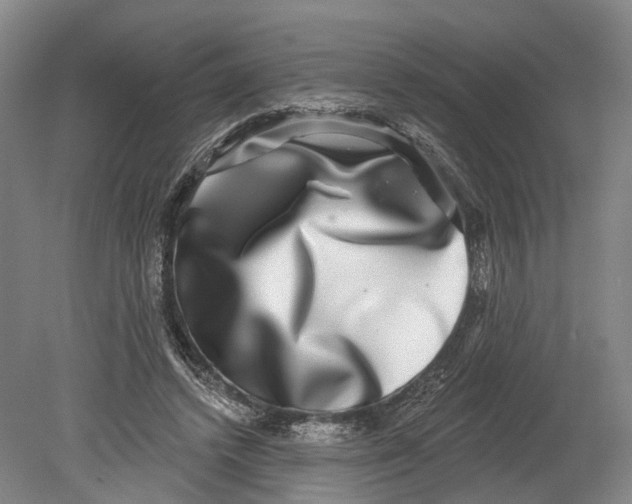 X0000080690448200701051104