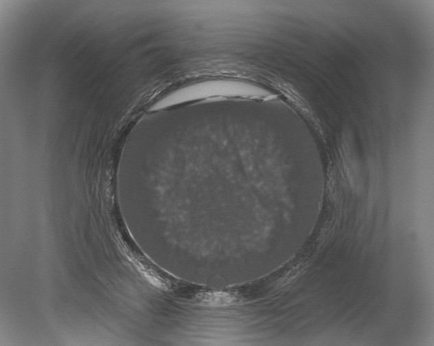 X0000080690449200701051104