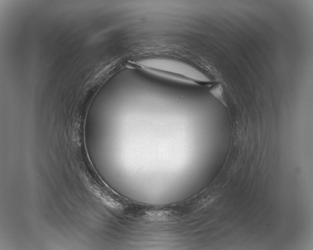 X0000080690450200701051104