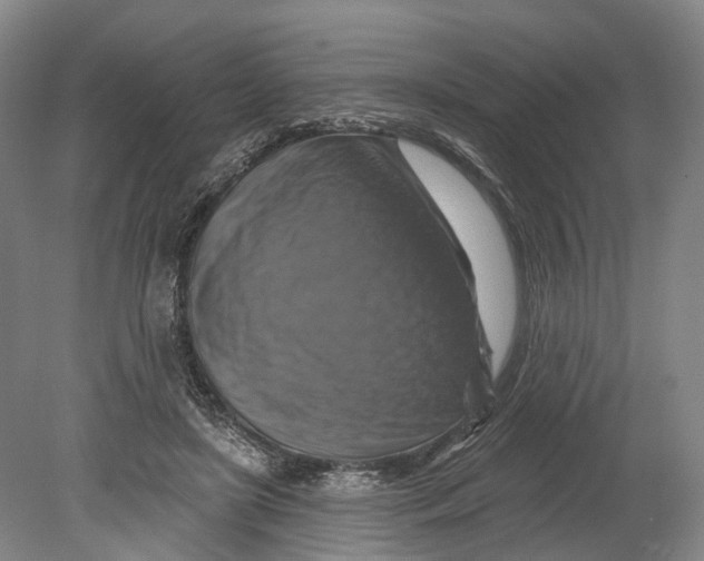 X0000080690451200701051104