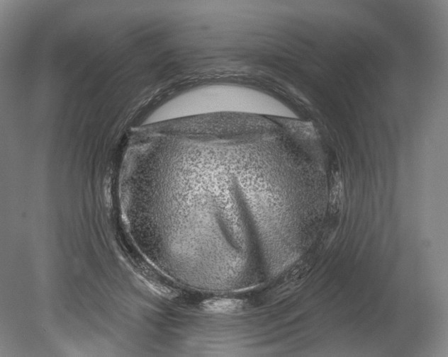 X0000080690452200701051104