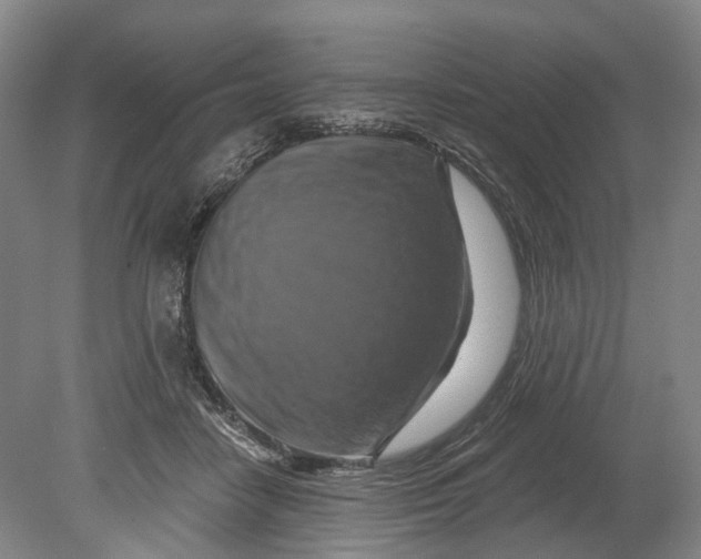 X0000080690458200701051104