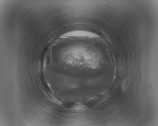 X0000080690459200701051104