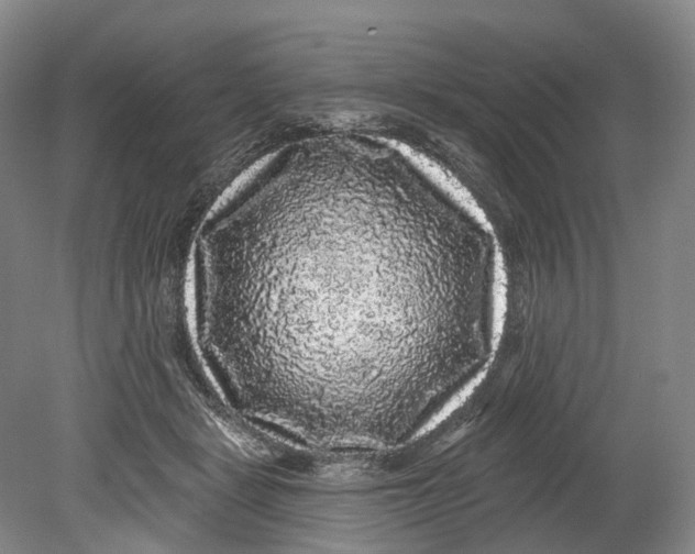 X0000080690461200701051104