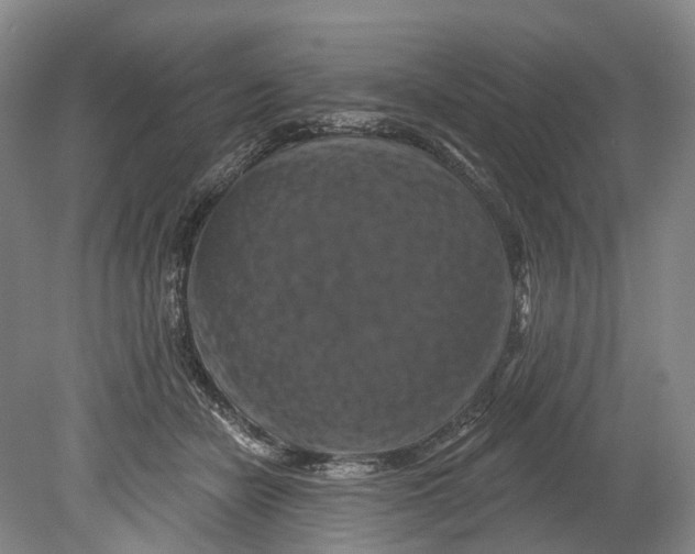X0000080690462200701051104