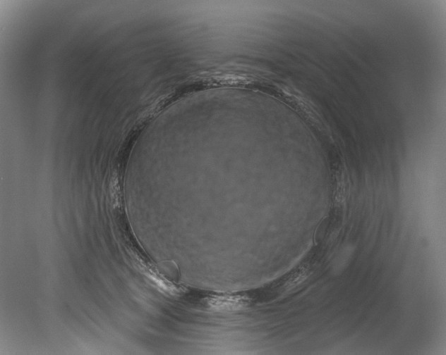 X0000080690465200701051104