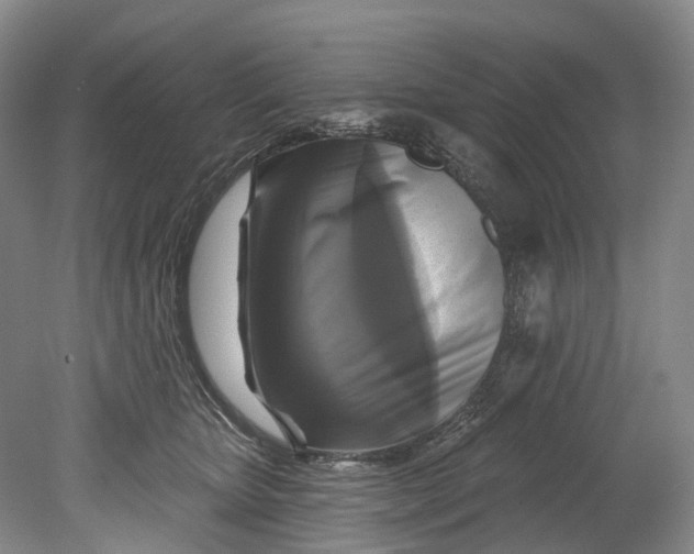 X0000080690467200701051105