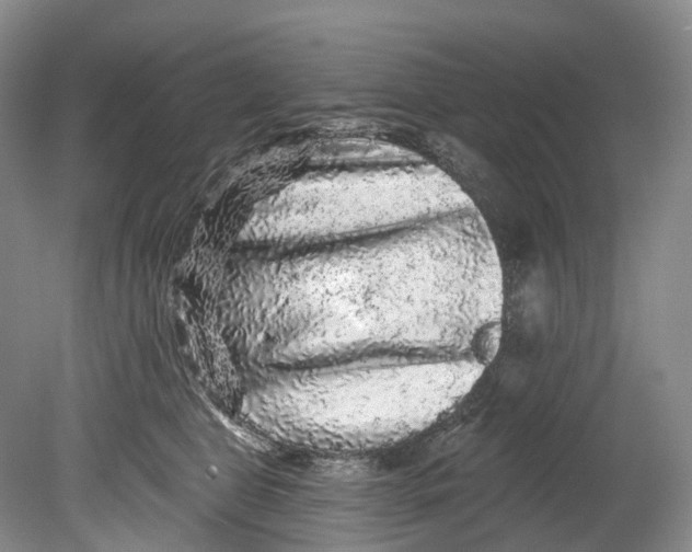 X0000080690469200701051105