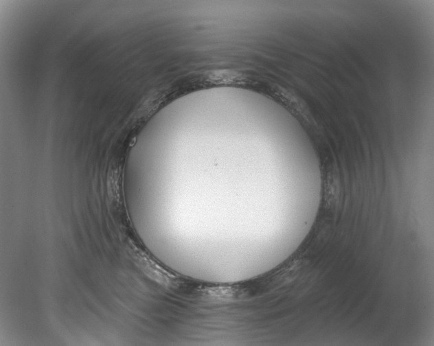 X0000080690473200701051105