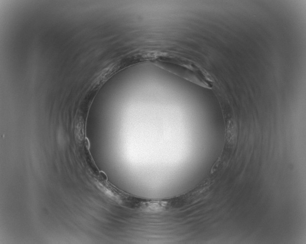 X0000080690474200701051105