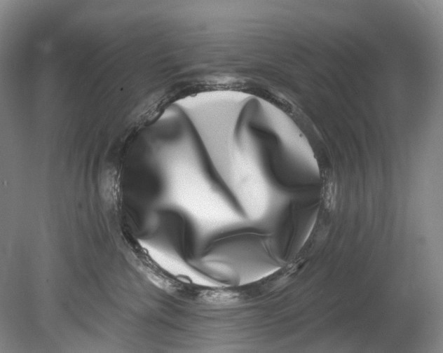 X0000080690476200701051105